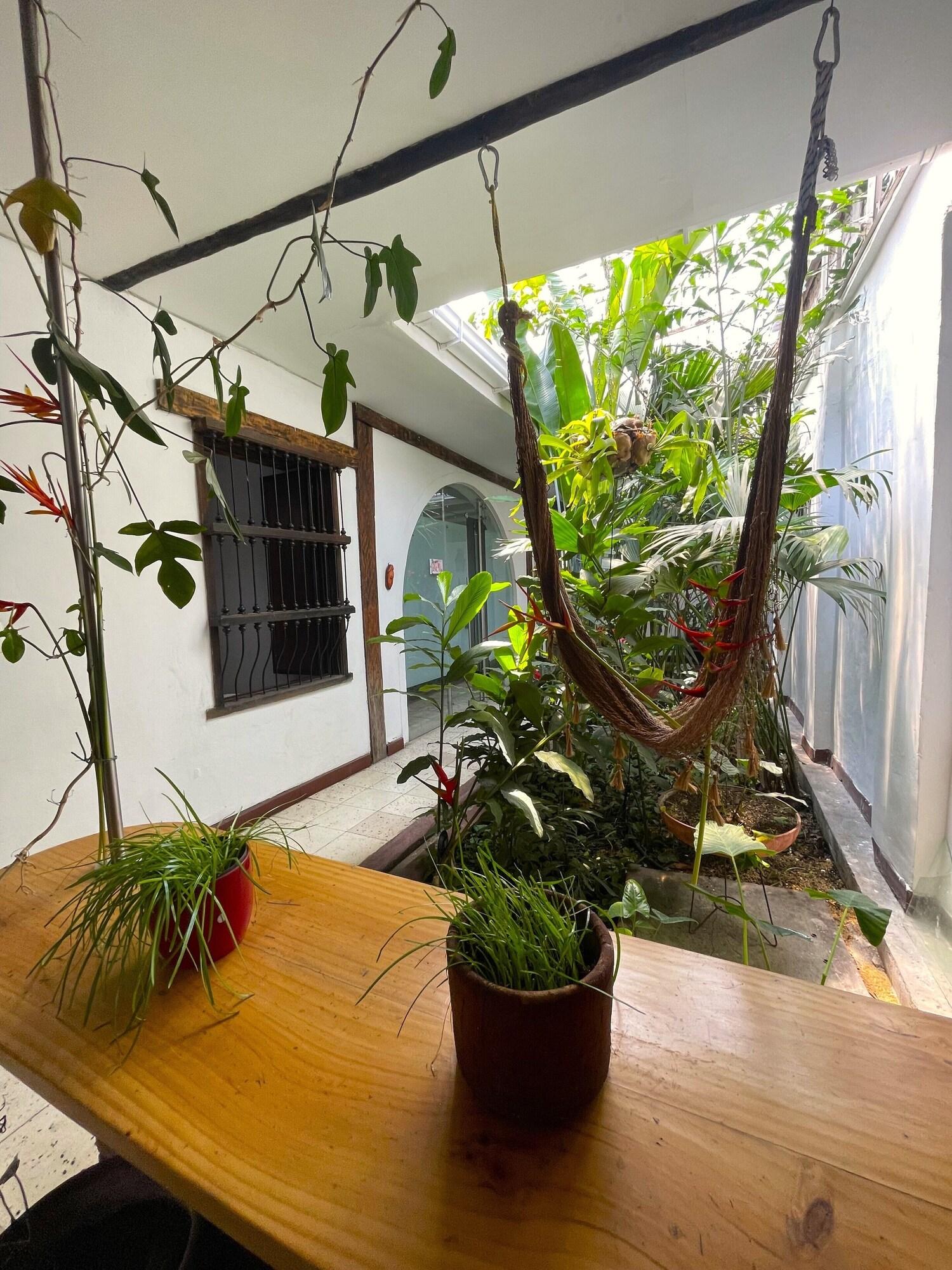 Equipamiento de Habitación Hostal Chontaduro