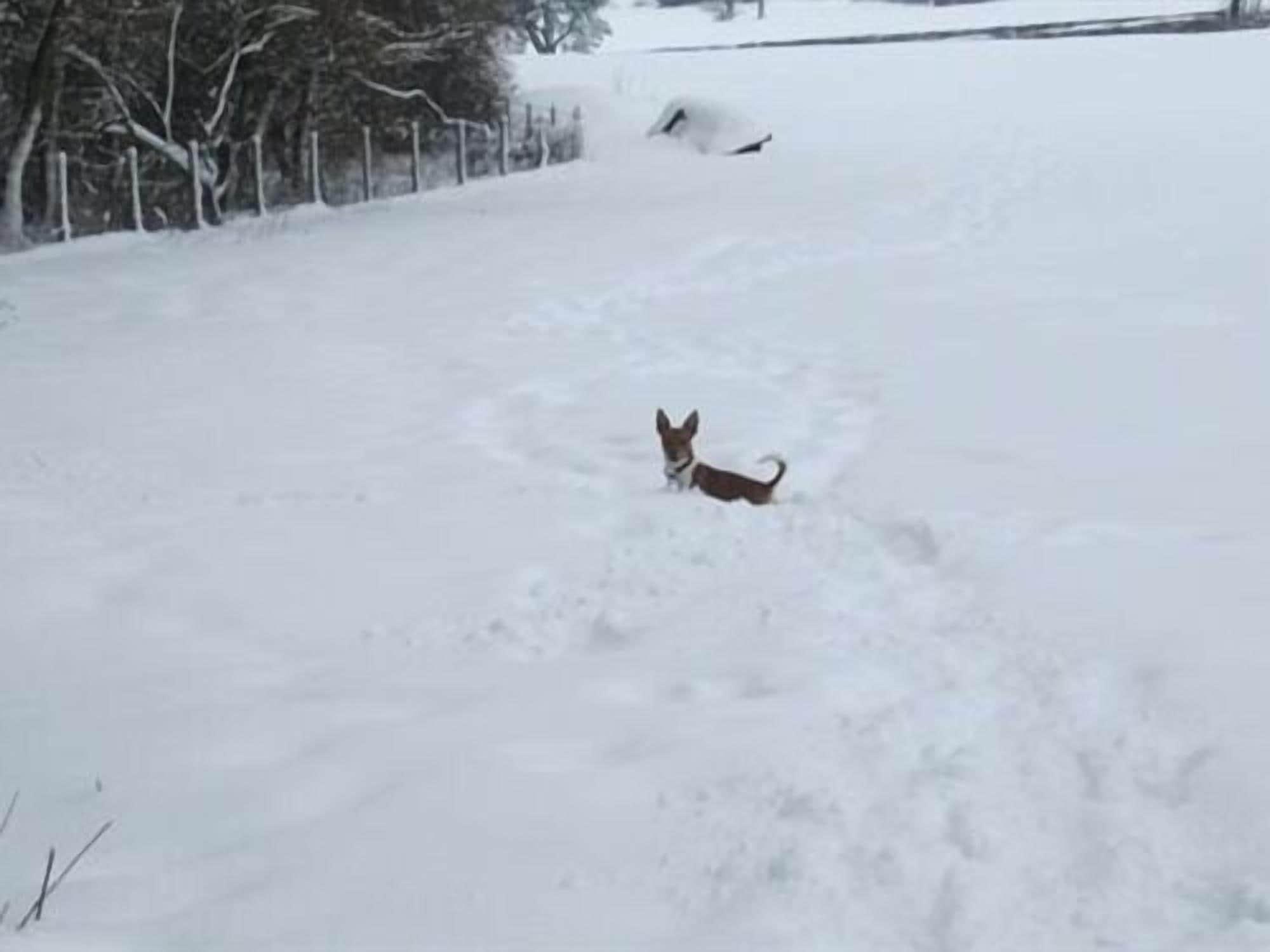 Vista Exterior The Royal Oak