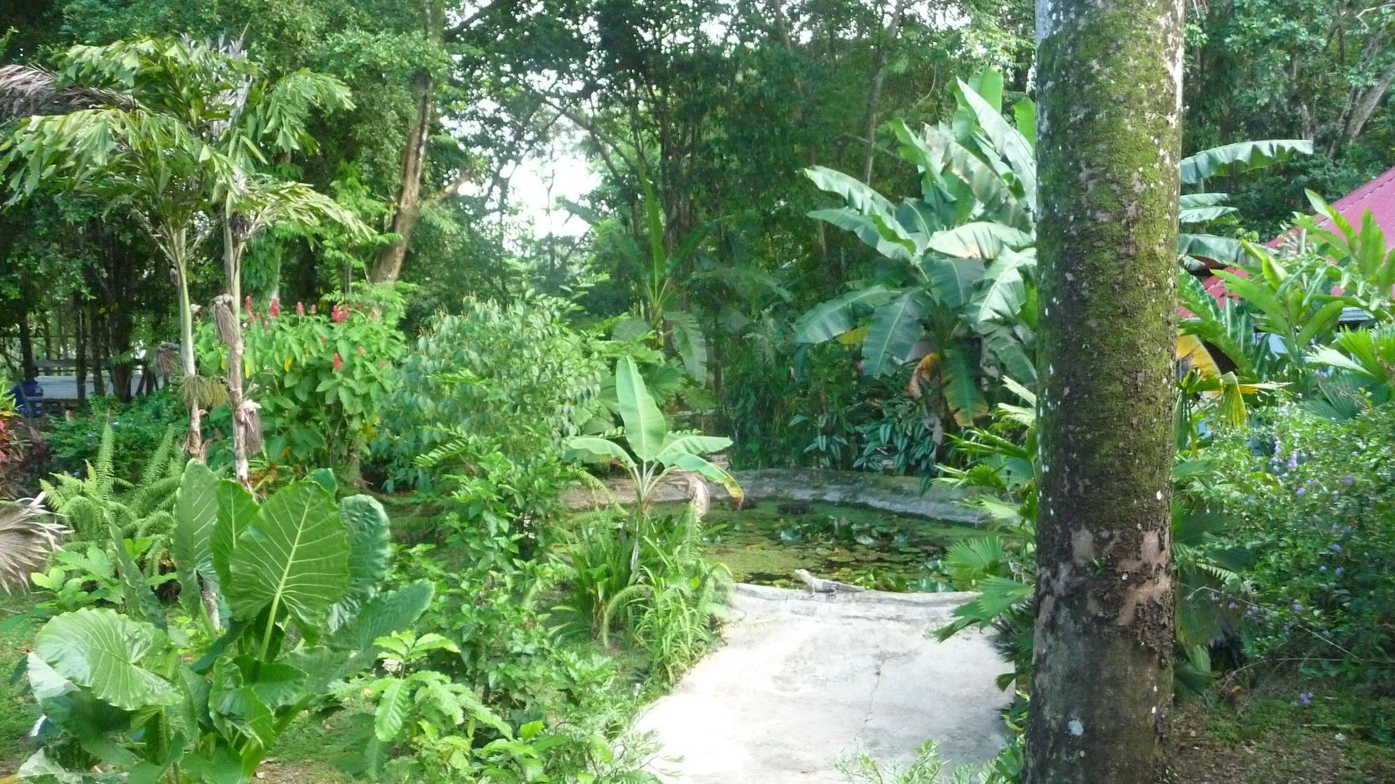 Vista Exterior Playa Bluff Hotel