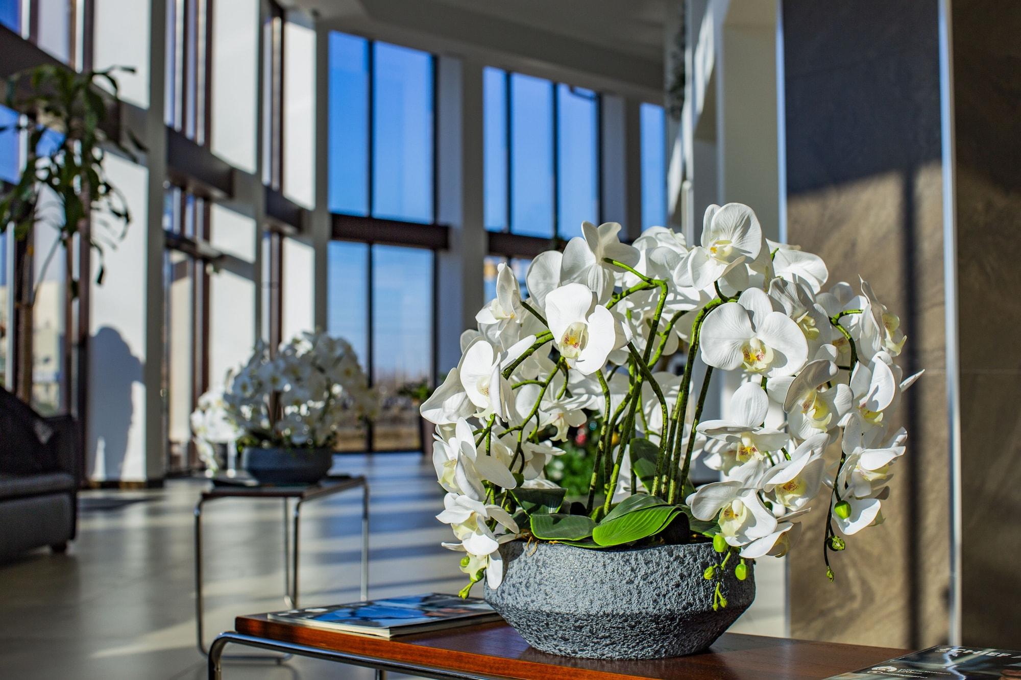 Vista Lobby SULO Hotel