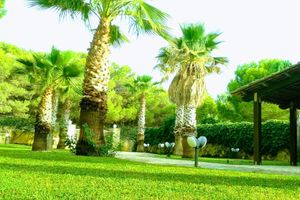 Alquiler Vacacional - ✭Autonomous villa of recent construction in the island of Favignana (EGADI)
