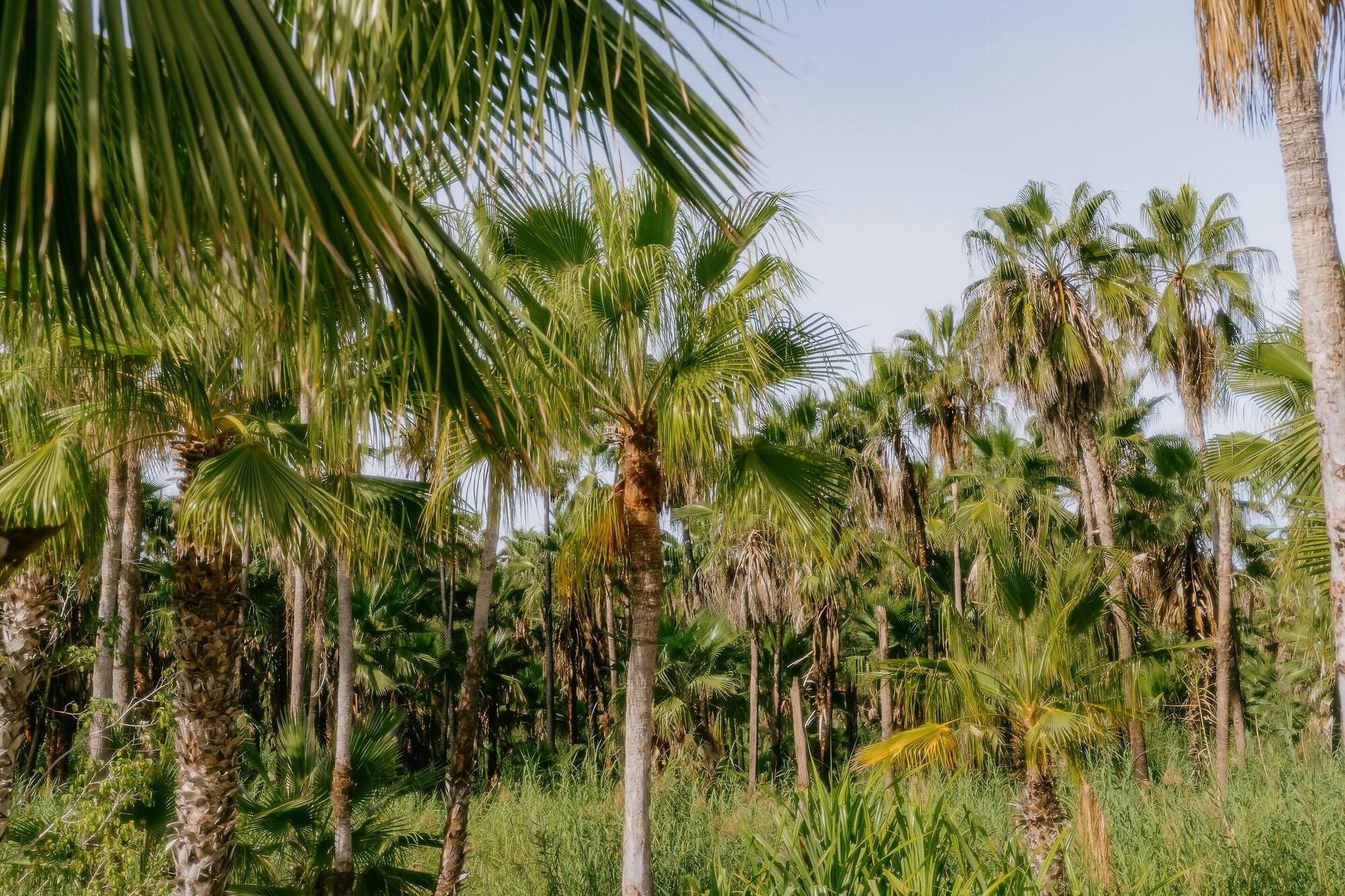 Vista Exterior La Poza Boutique Hotel & Spa - Adults Only