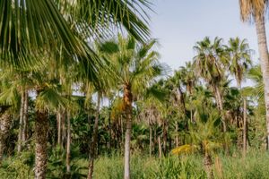 Alojamiento - La Poza Boutique Hotel & Spa - Adults Only