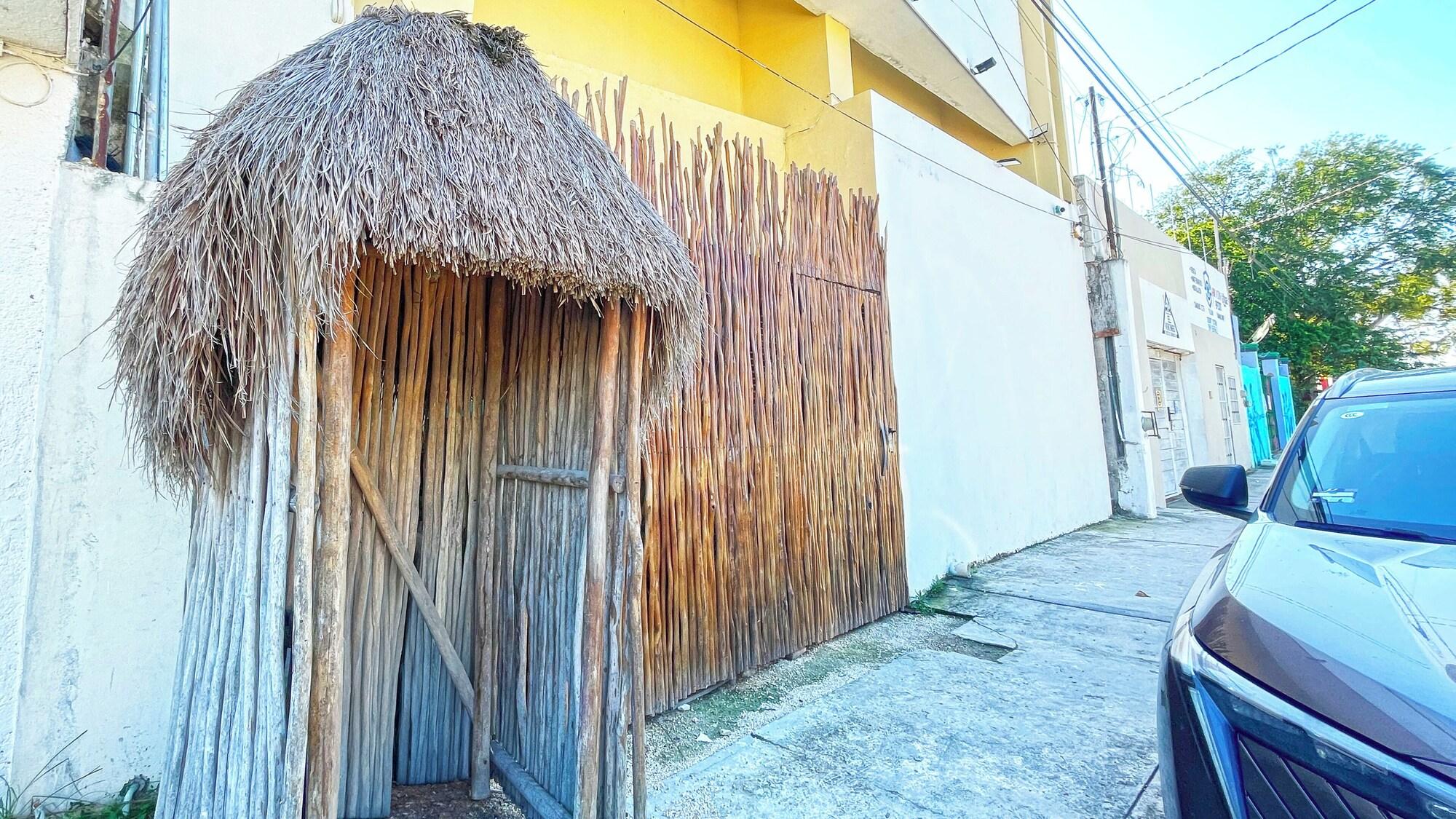 Varios Mr Pakal Tulum