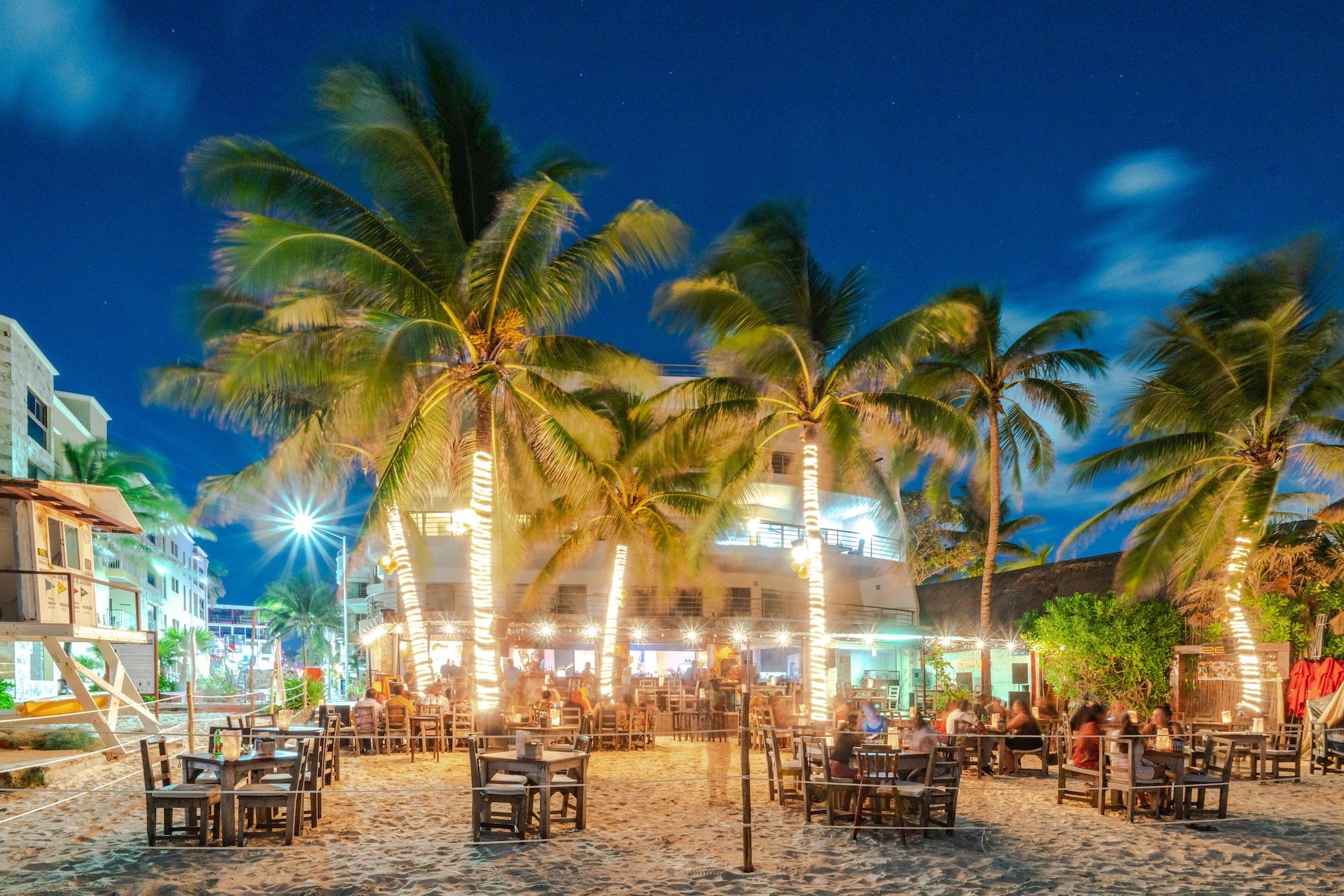 Restaurant Faro Reef 401 by NAS