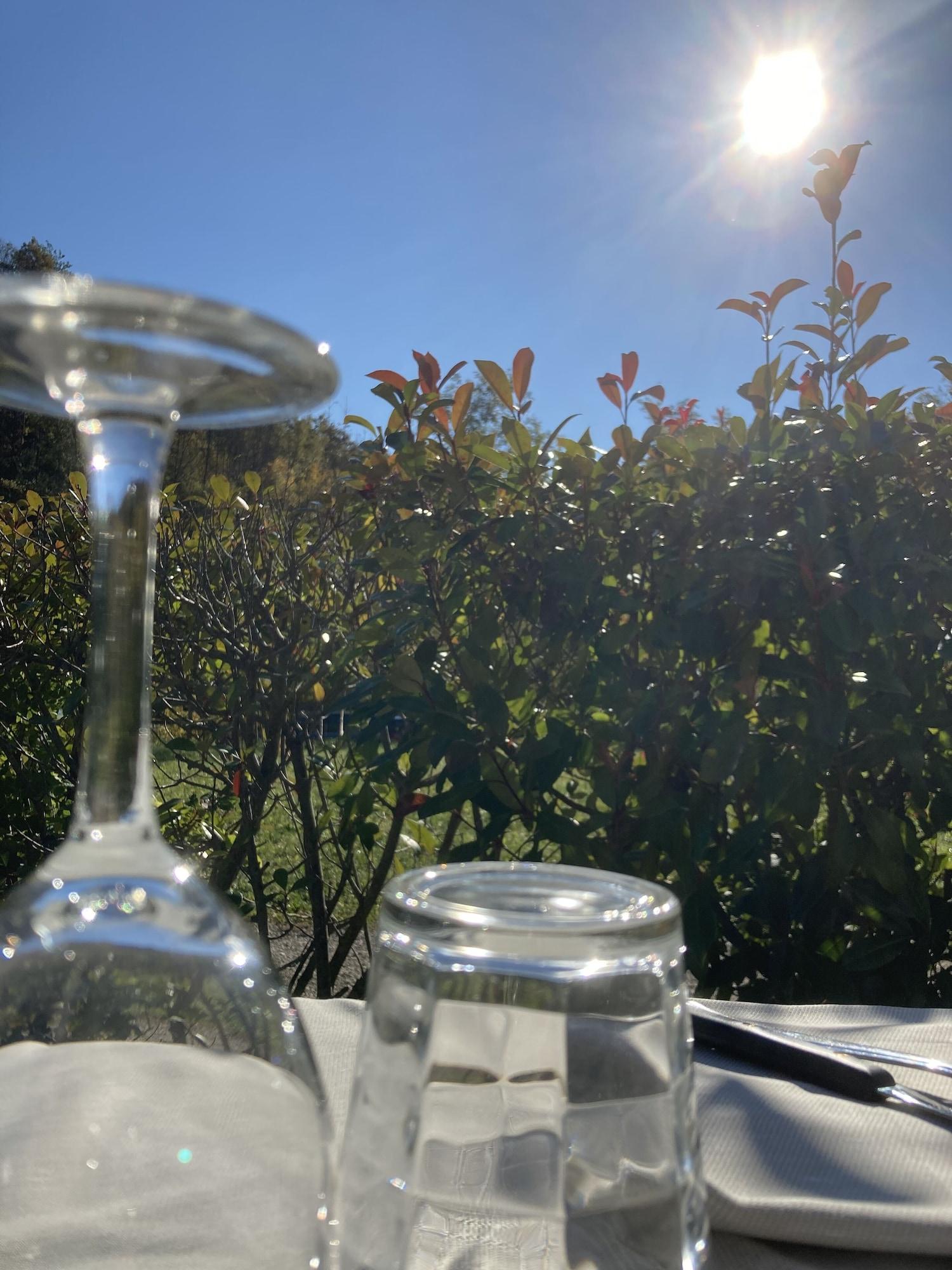 Comodidades del Alojamiento Albergo Ristorante Lis Aganis