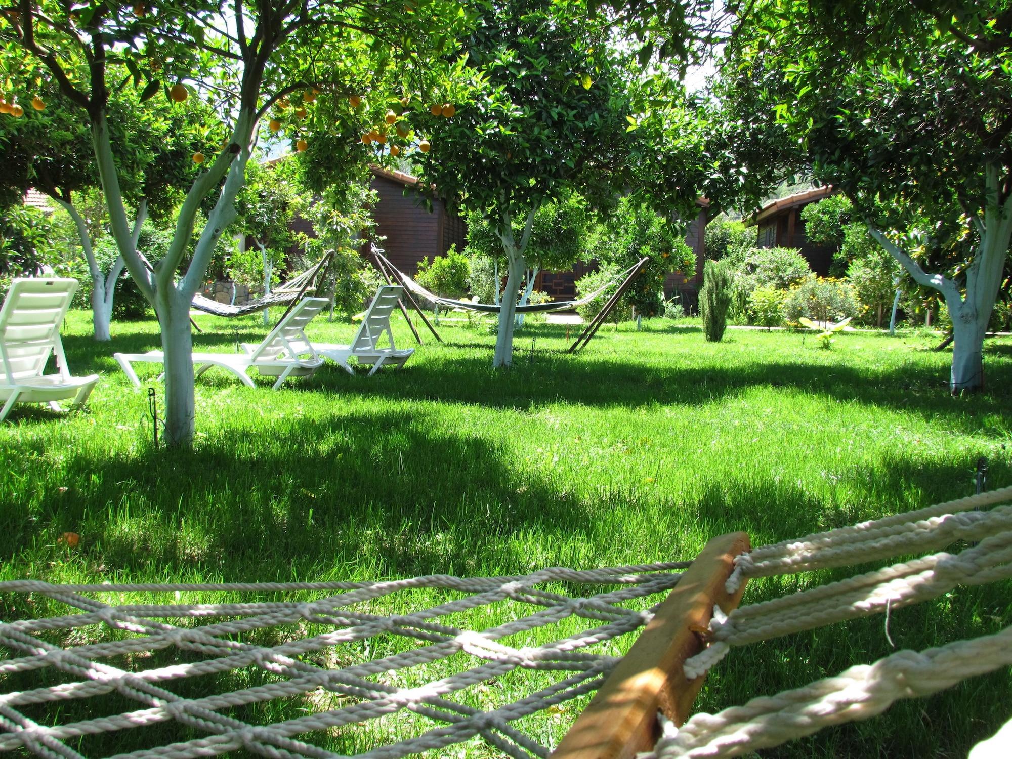 Comodidades del Alojamiento Cinderella Pansiyon