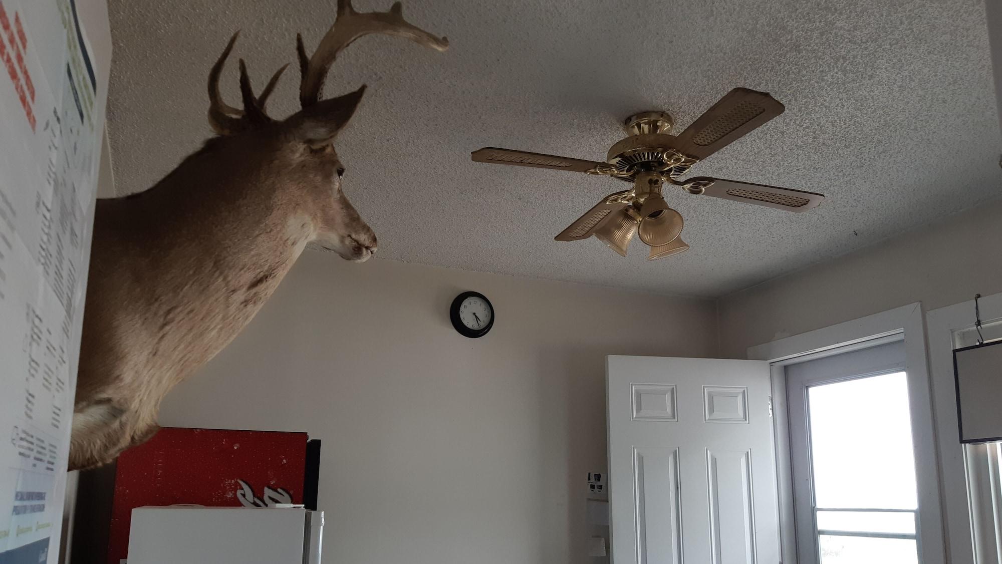 Vista Lobby Deerhead Inn