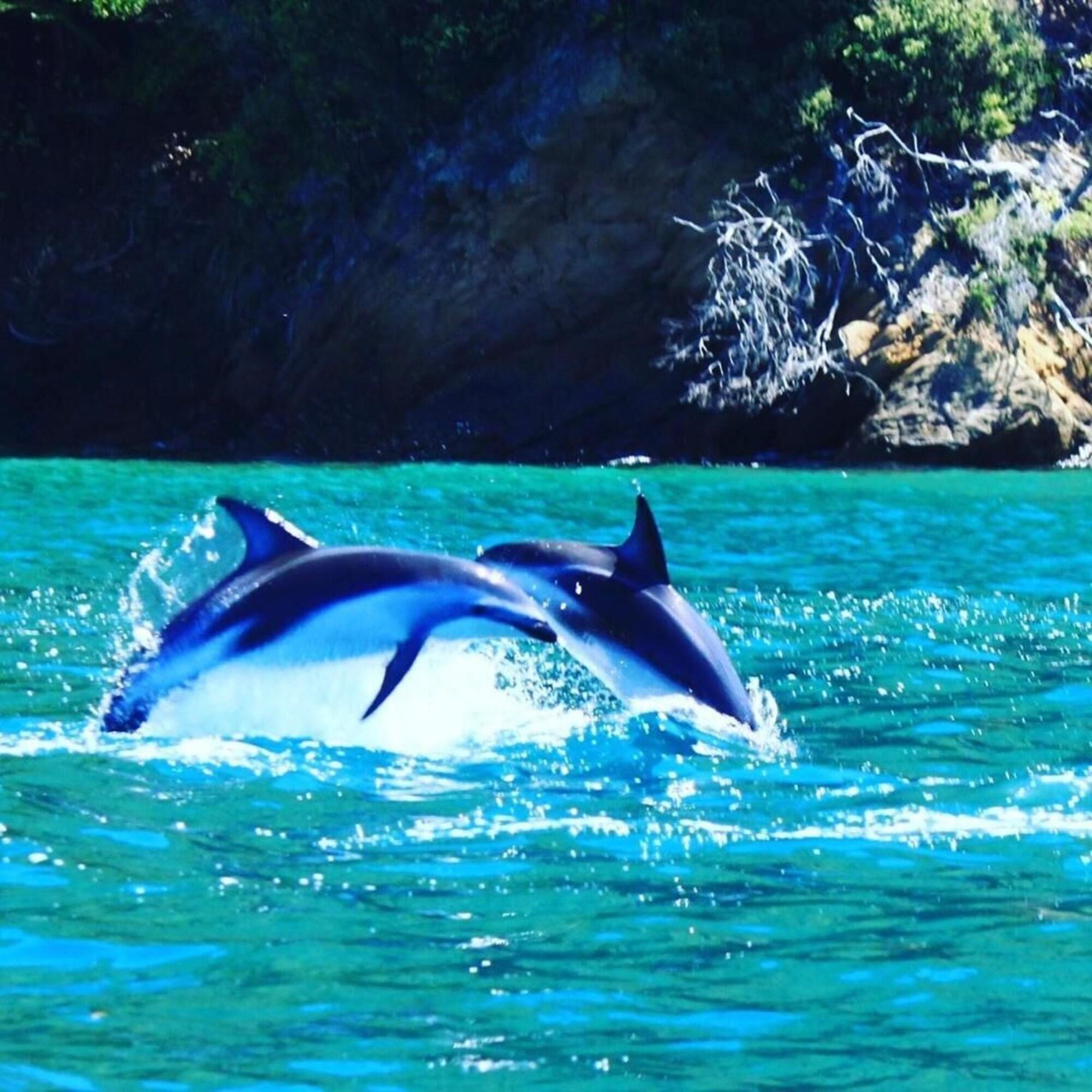 Instalaciones Recreativas Kippilaw House