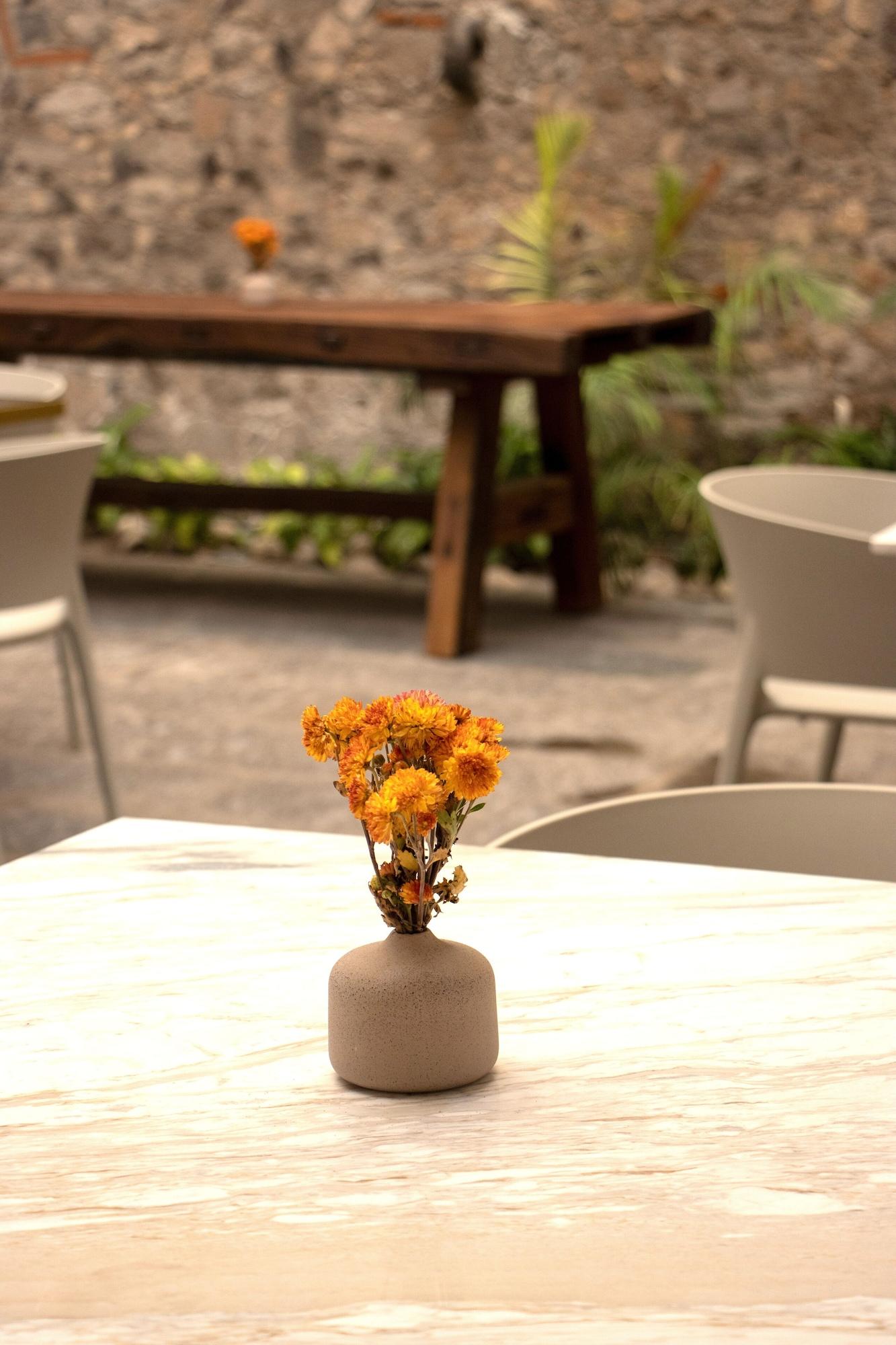 Restaurant Casa Padua