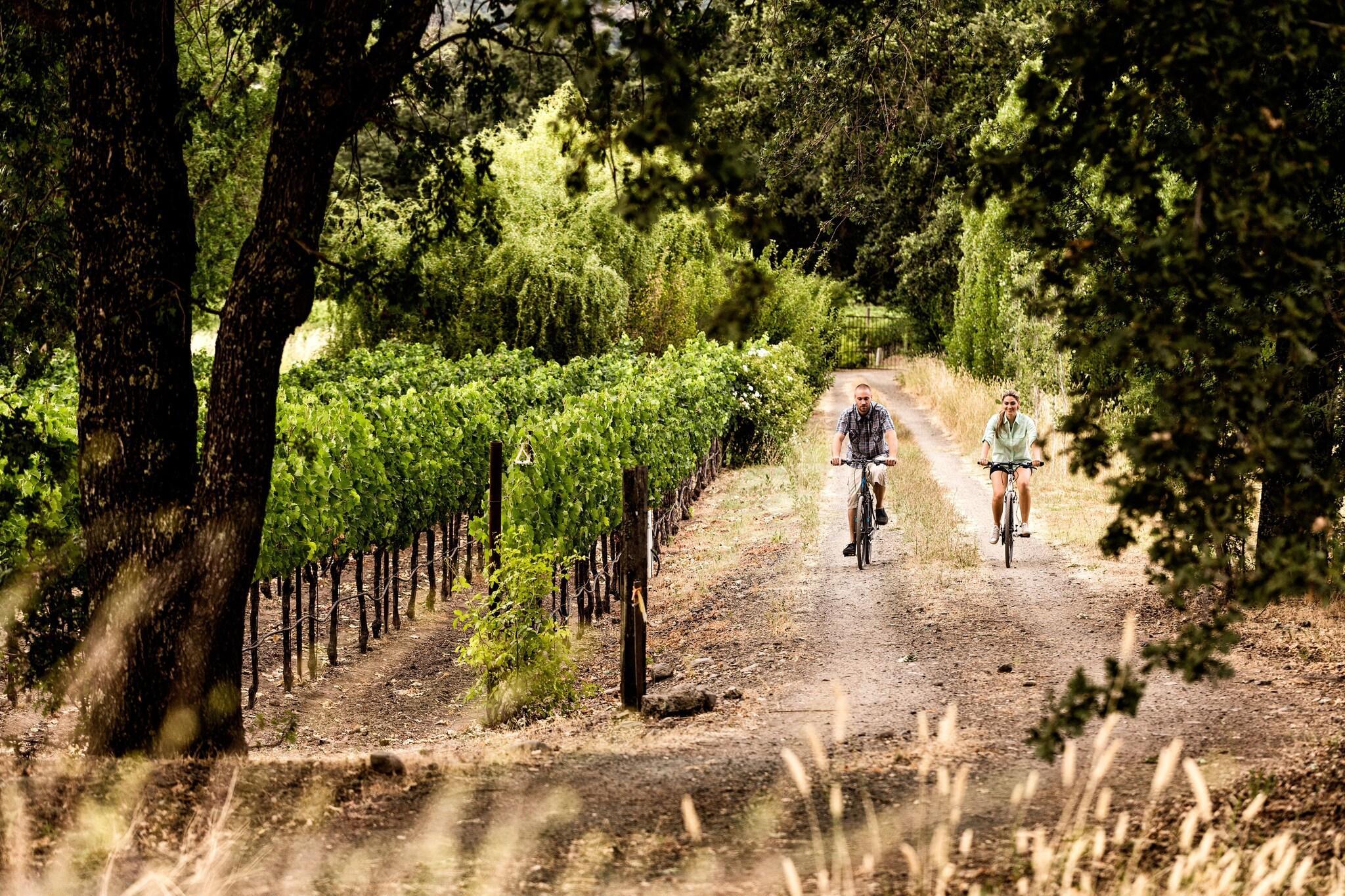 Instalaciones Recreativas ANDAZ NAPA, BY HYATT