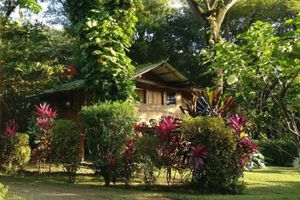 Alquiler Vacacional - Casa Pitayha · For Nature Lovers and Surfers · Walking distance to Beach & Town