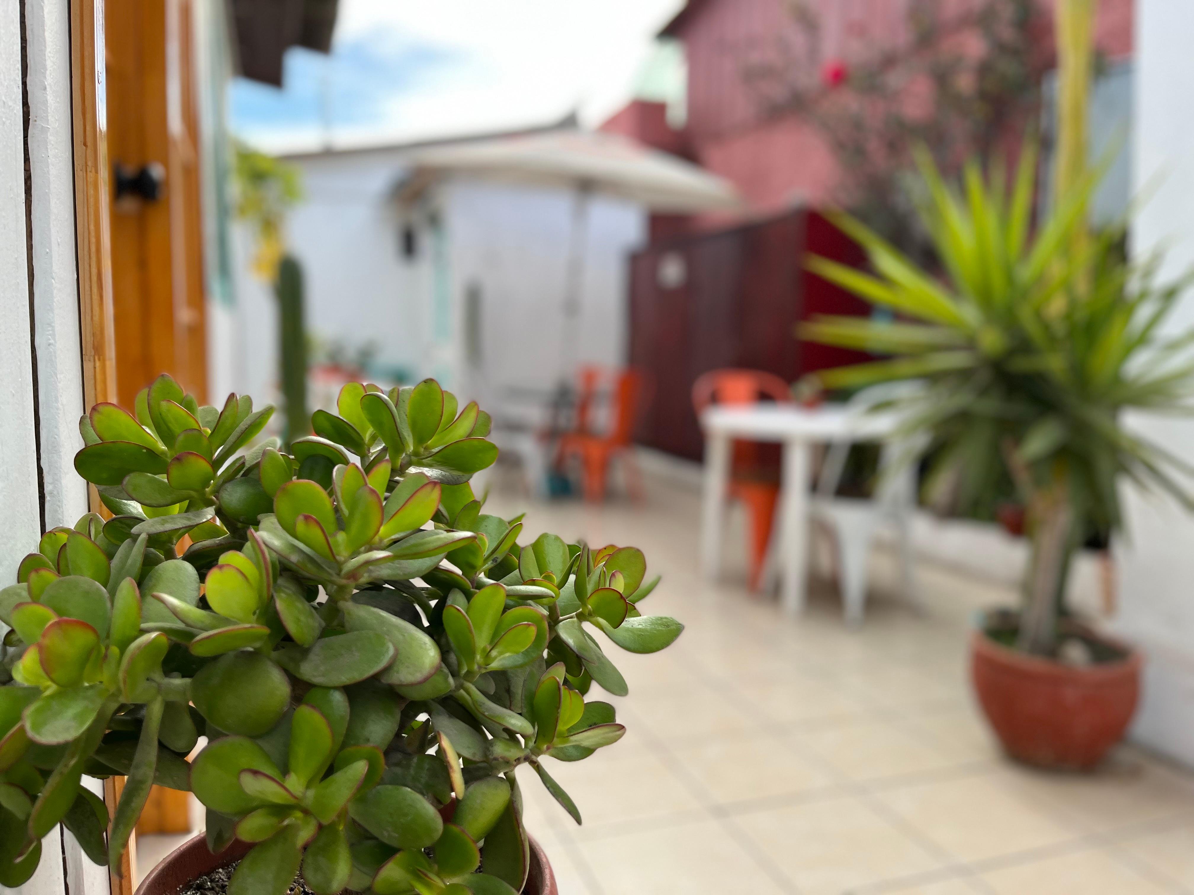 Vista Exterior Hostal Avenue