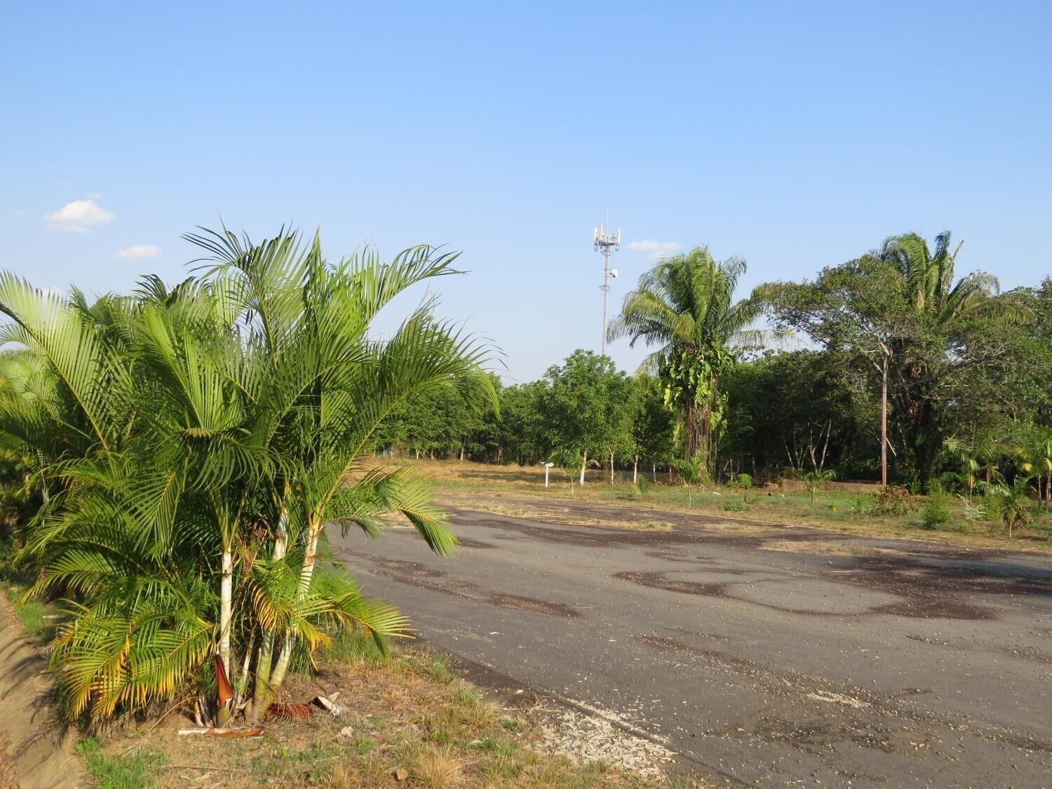 Comodidades del Alojamiento Yacumama Tambopata Ecolodge