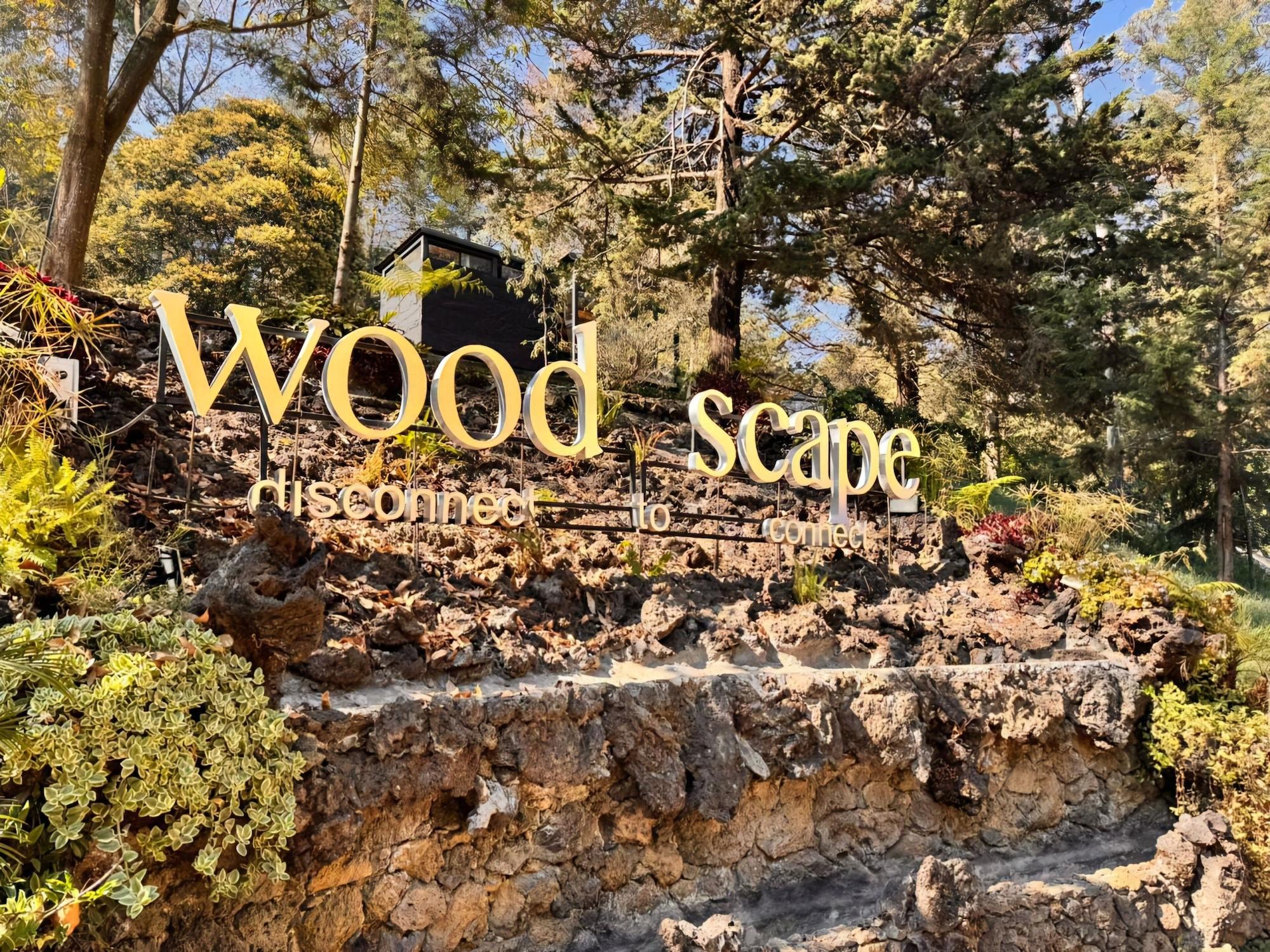 Vista Exterior Woodscape