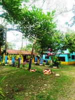 Alojamiento - amalaya hostel