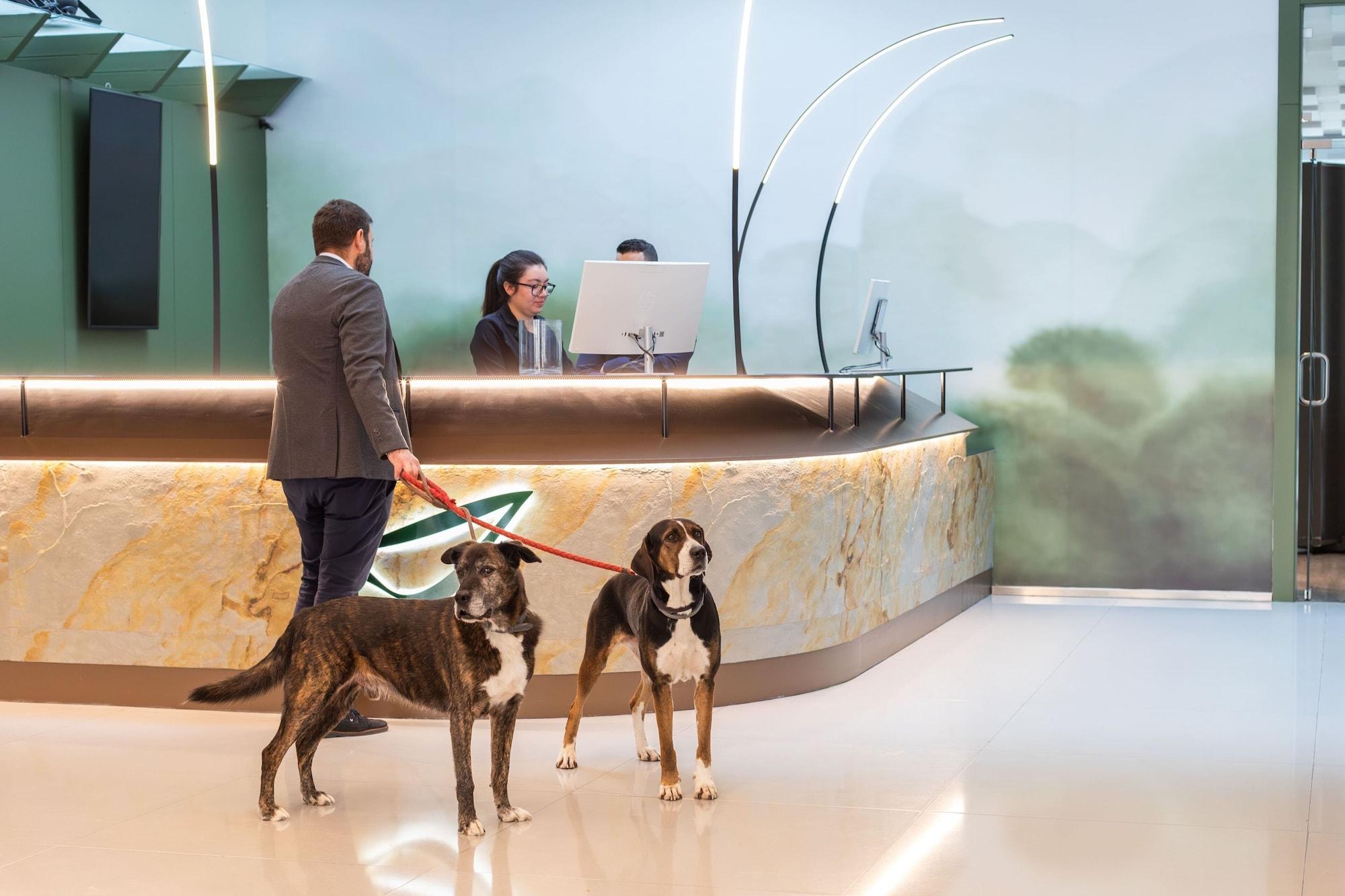 Vista Lobby Abba Huesca