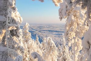 Alojamiento - Rukariutta Apartments