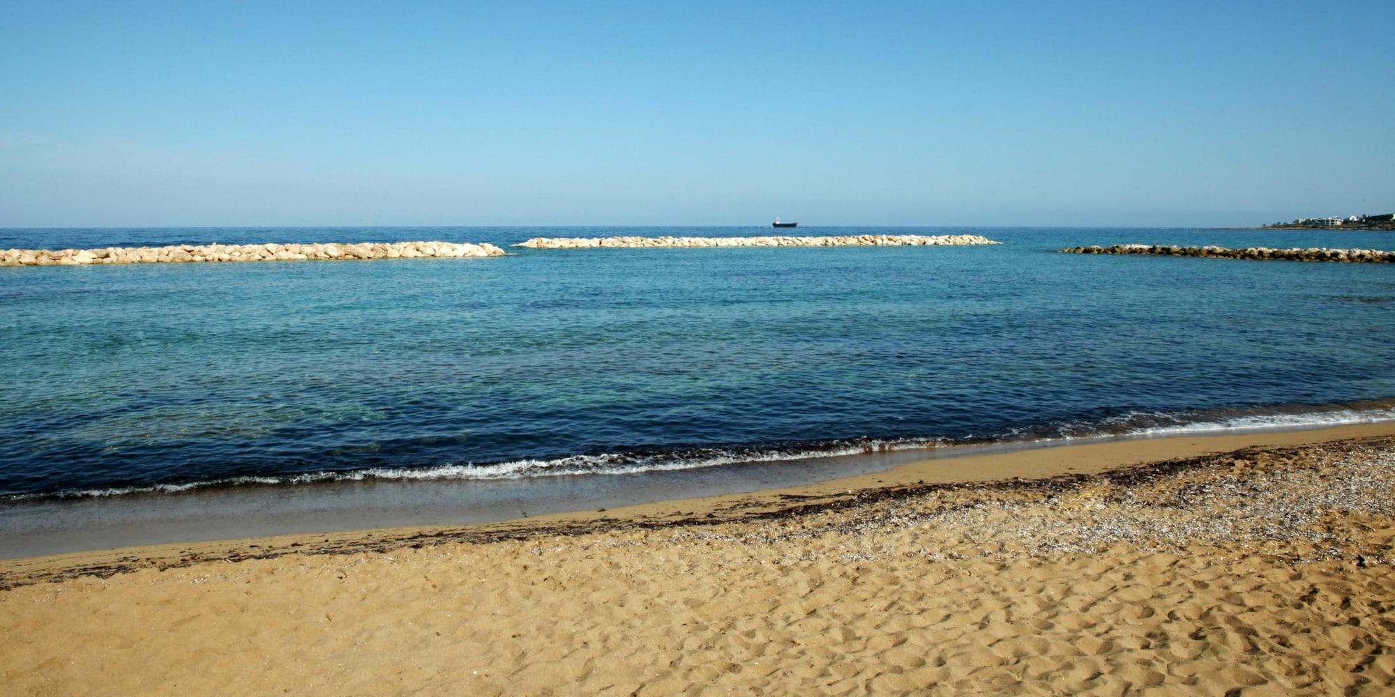Playa Venus Beach Hotel