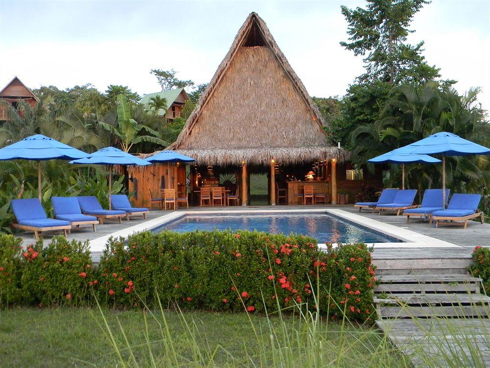 Vista da piscina Lodge Ylang Ylang