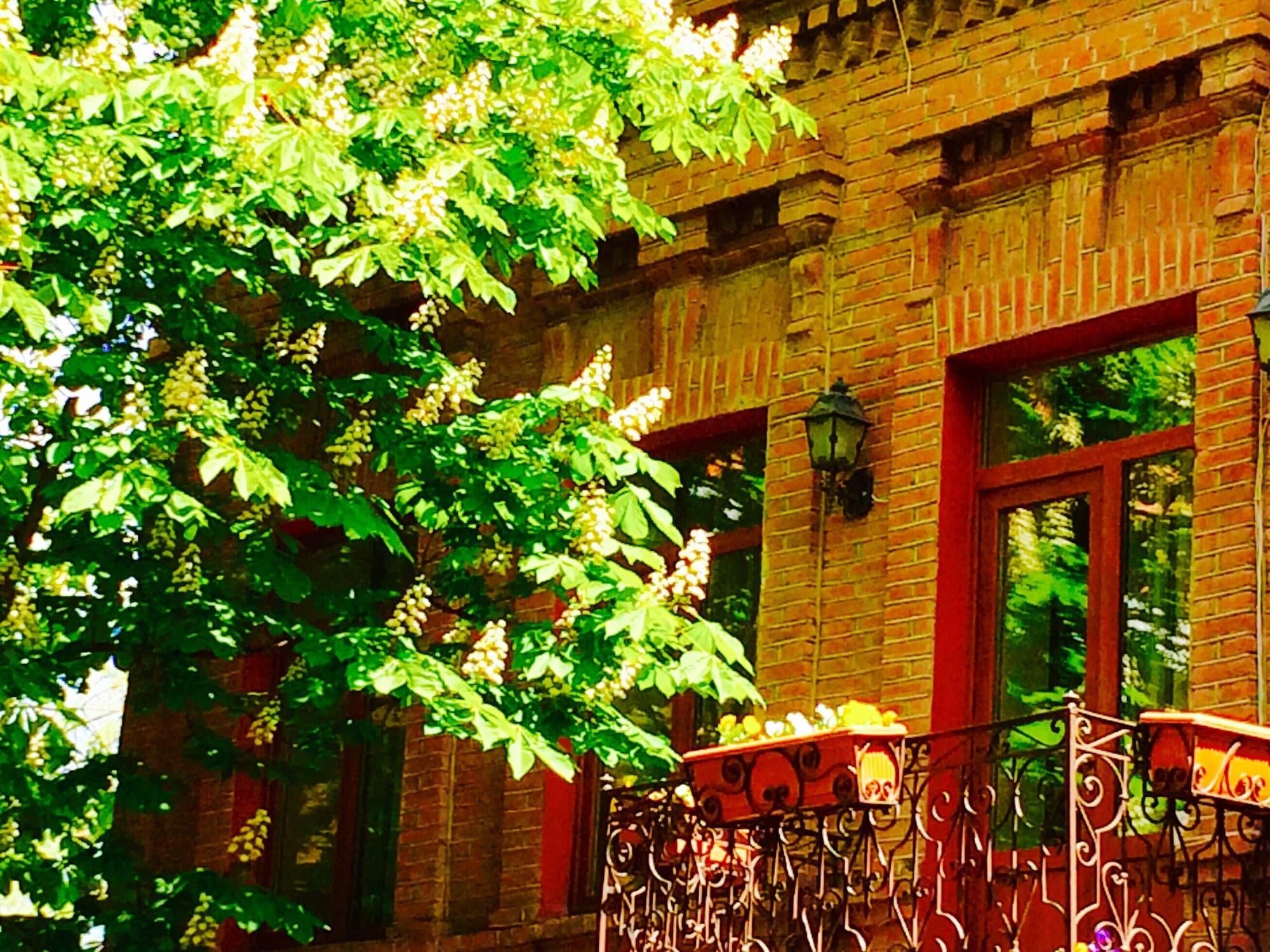 Vista Exterior Hotel British House