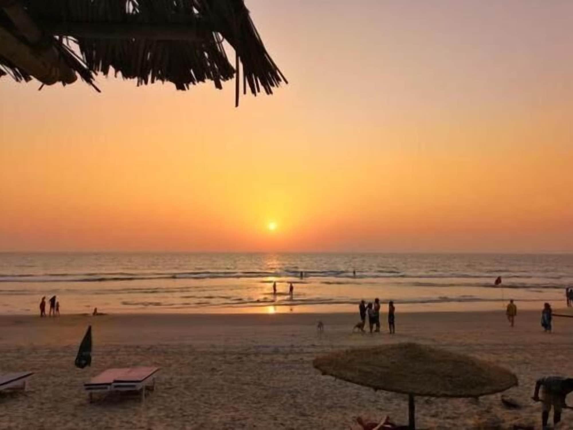 Playa Elegant Shades