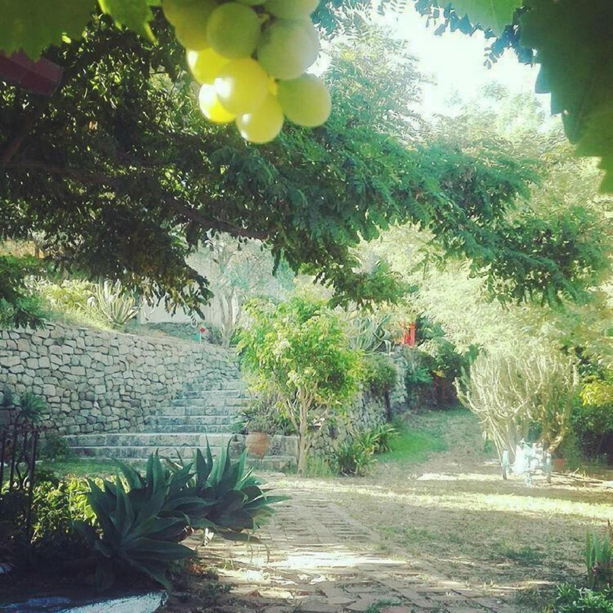 Comodidades del Alojamiento Quarto Paradiso B&B