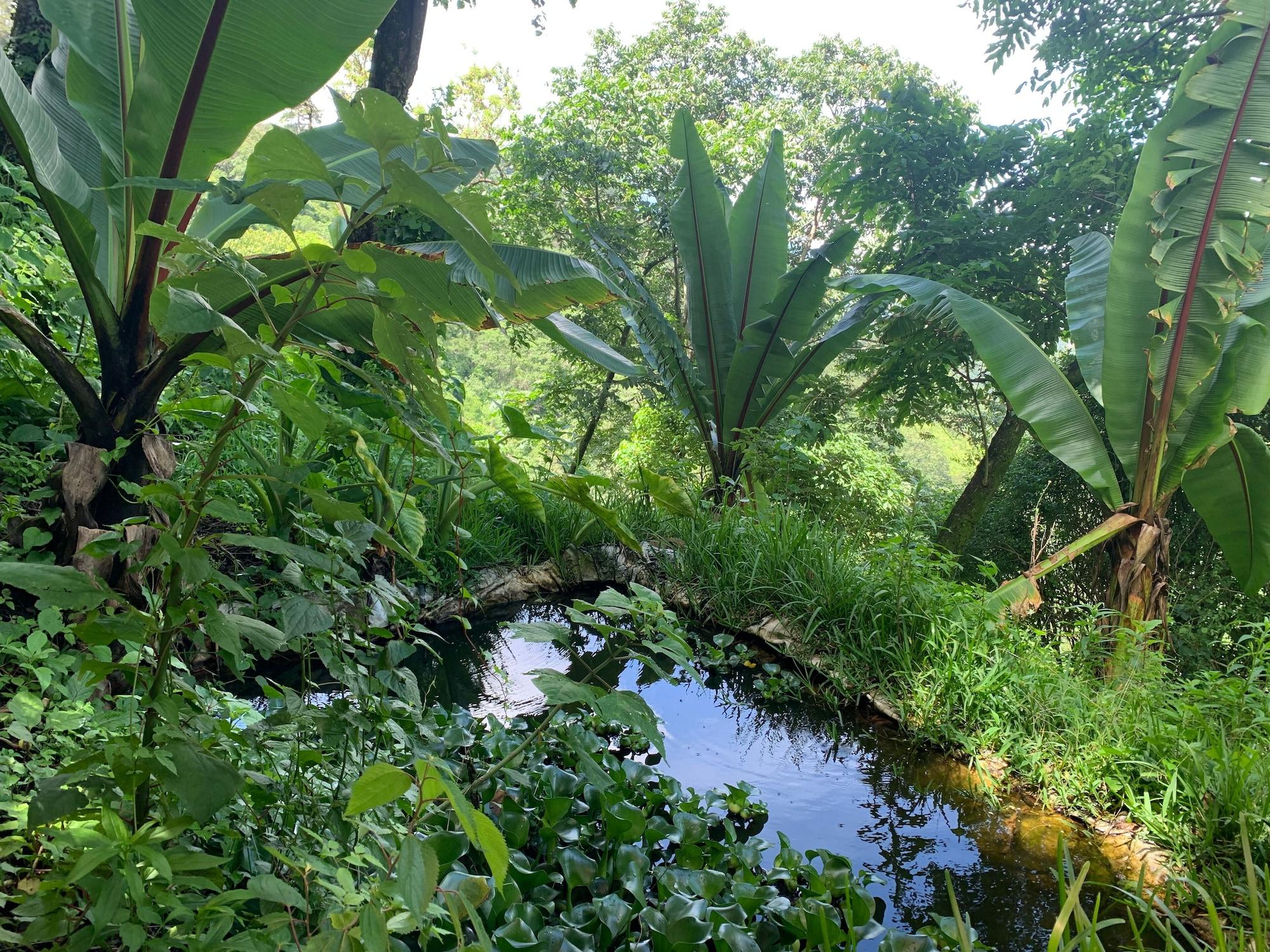 Comodidades del Alojamiento Finca El Tambor