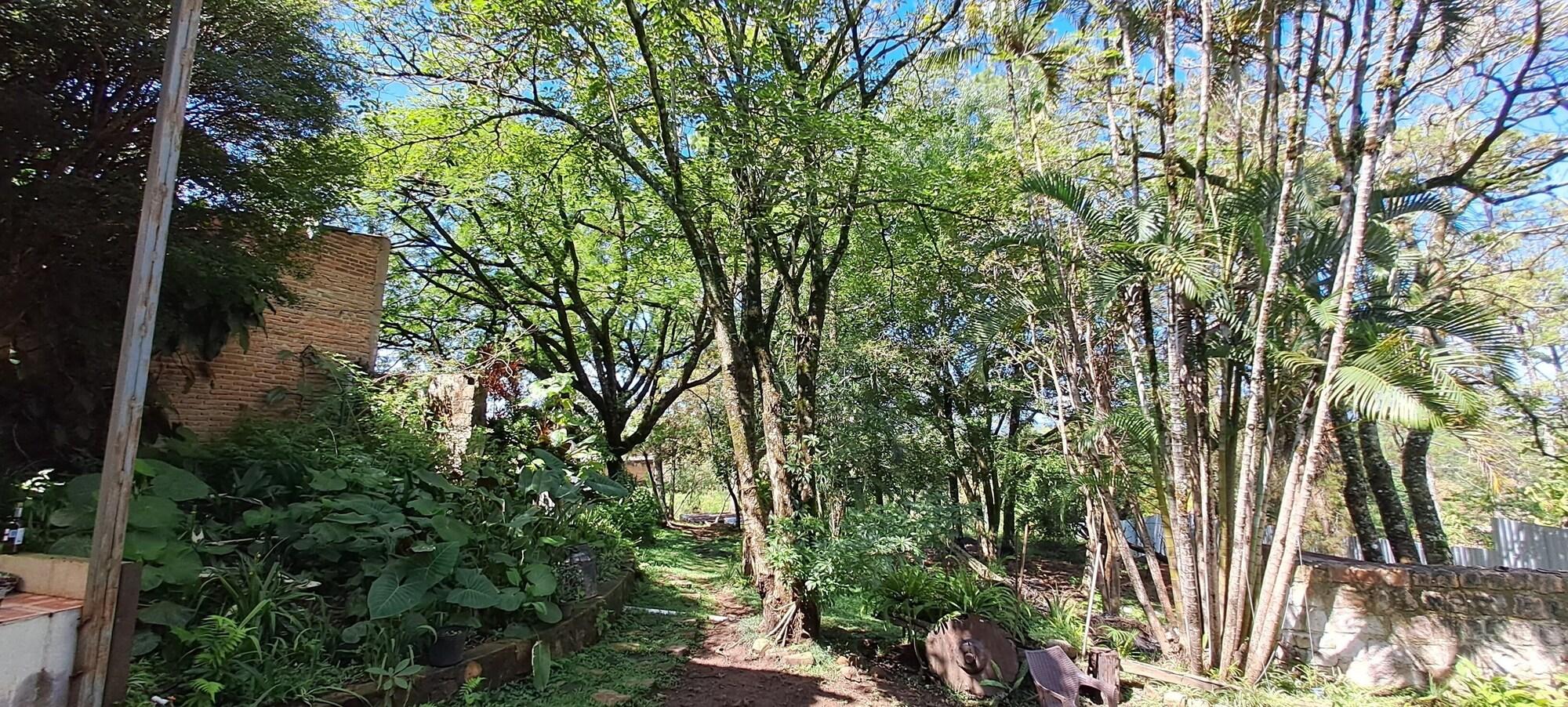 Vista Exterior Villa Chelsey