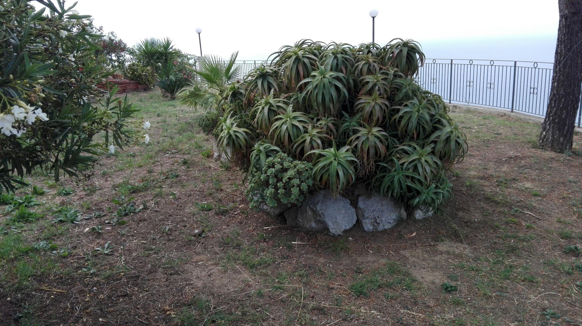 Comodidades del Alojamiento Paradise Bed & Breakfast
