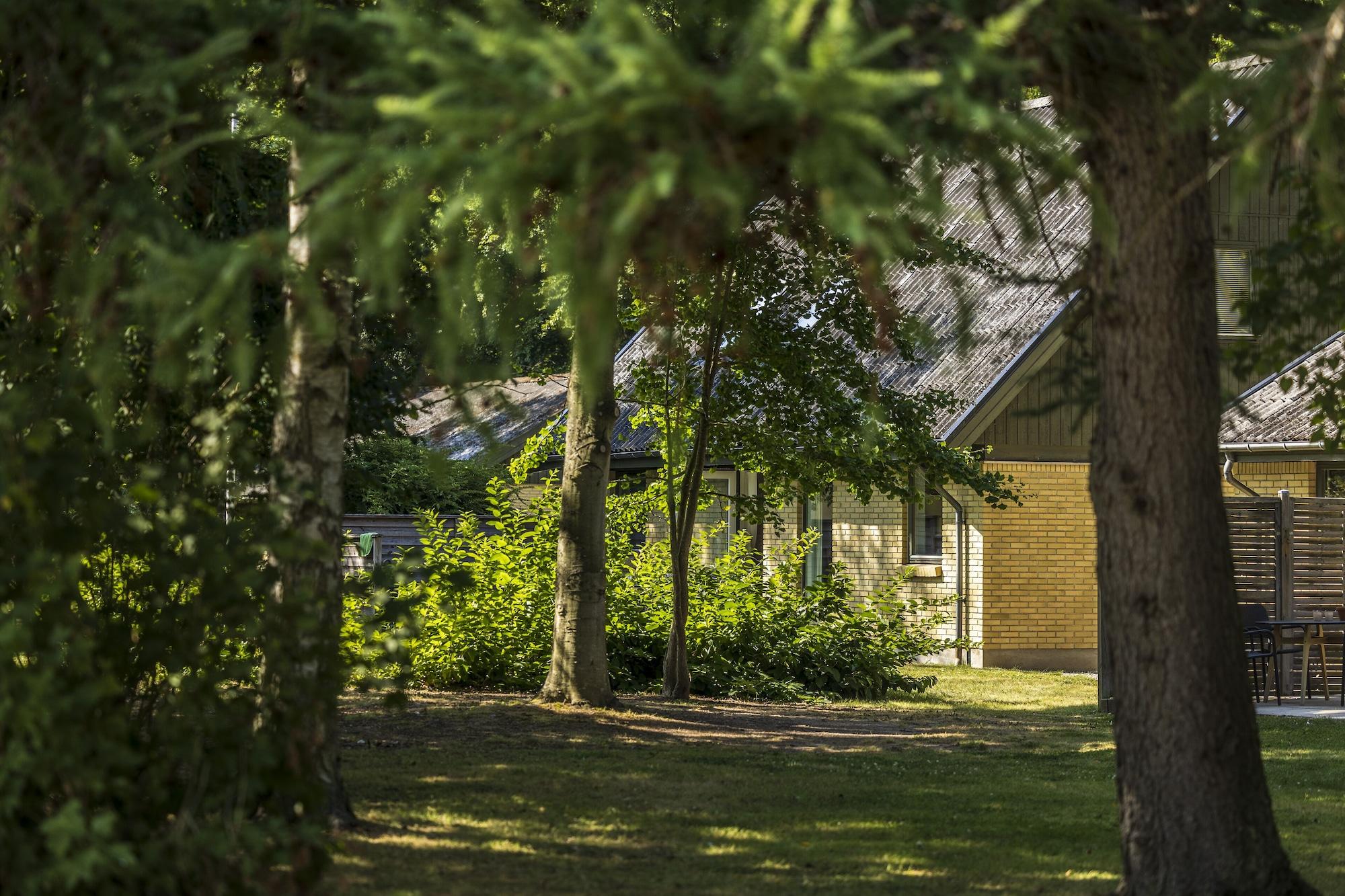 Vista Exterior Pederstrup Bed and Breakfast