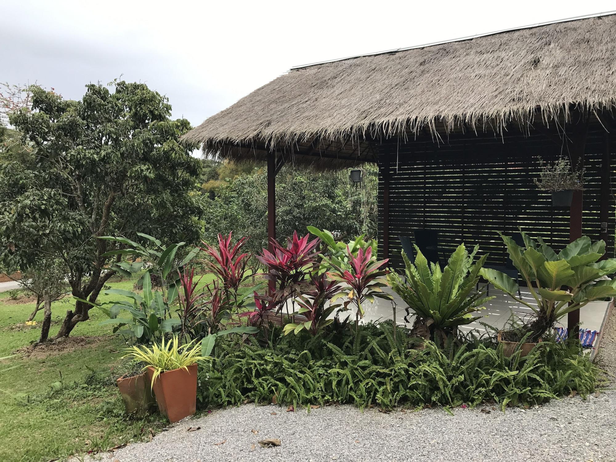 Vista Lobby House of Garden