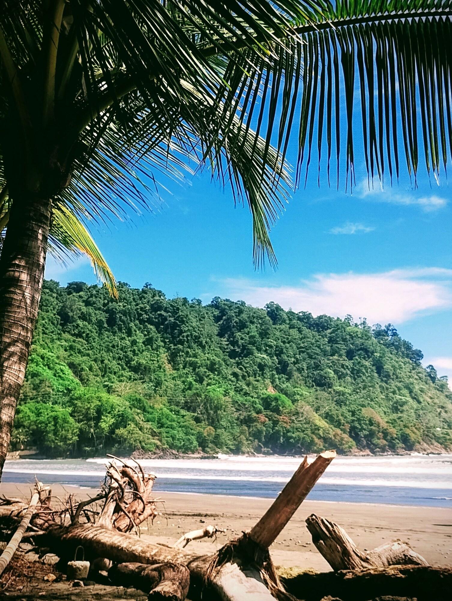 Vista Exterior Casa Jungla Hostel