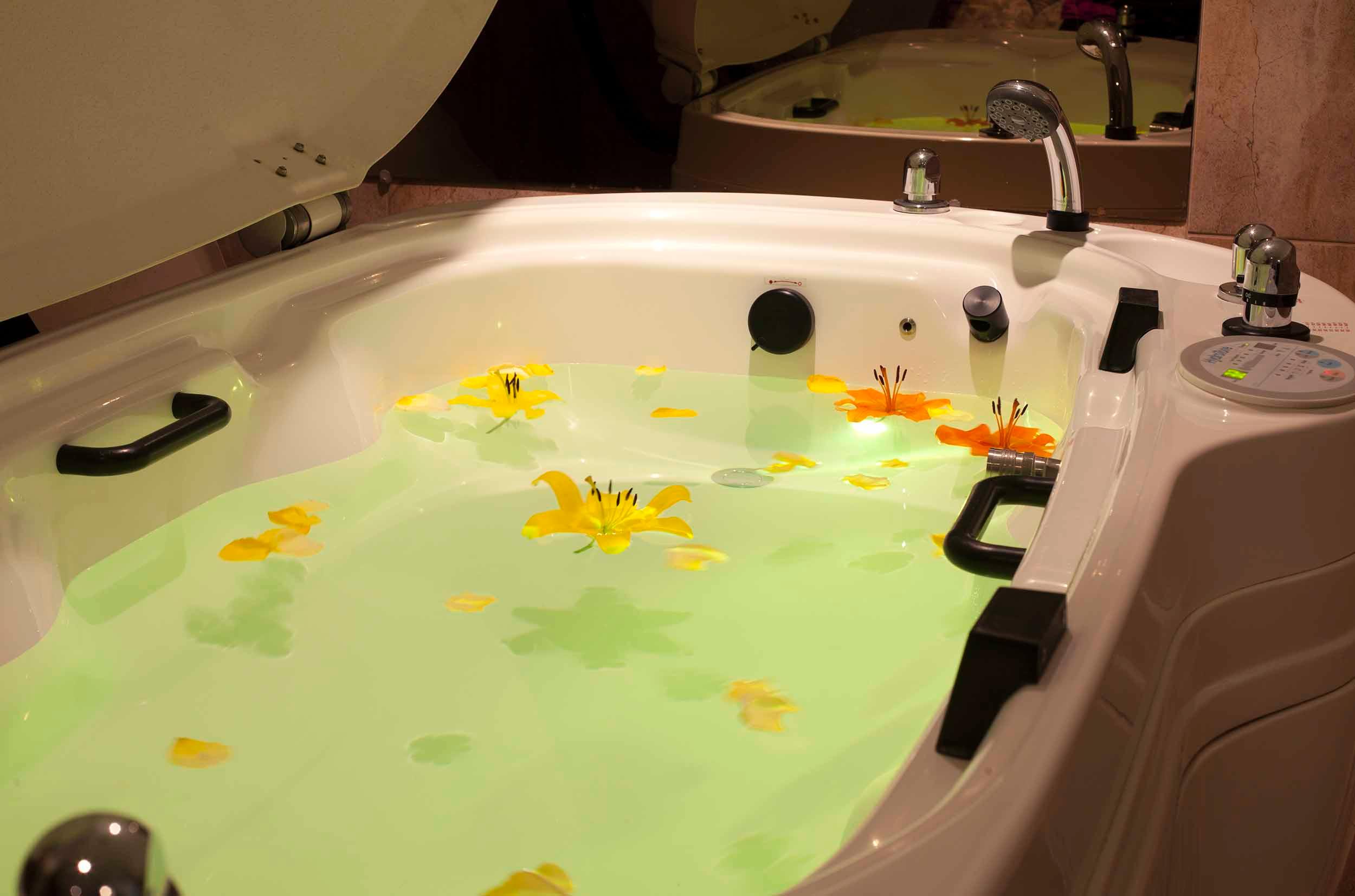 Spa Aparthotel Camino Real