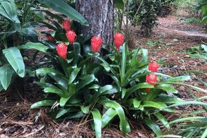 Alquiler Vacacional - Cozy Cabin by the Lake - Salt Springs Resort