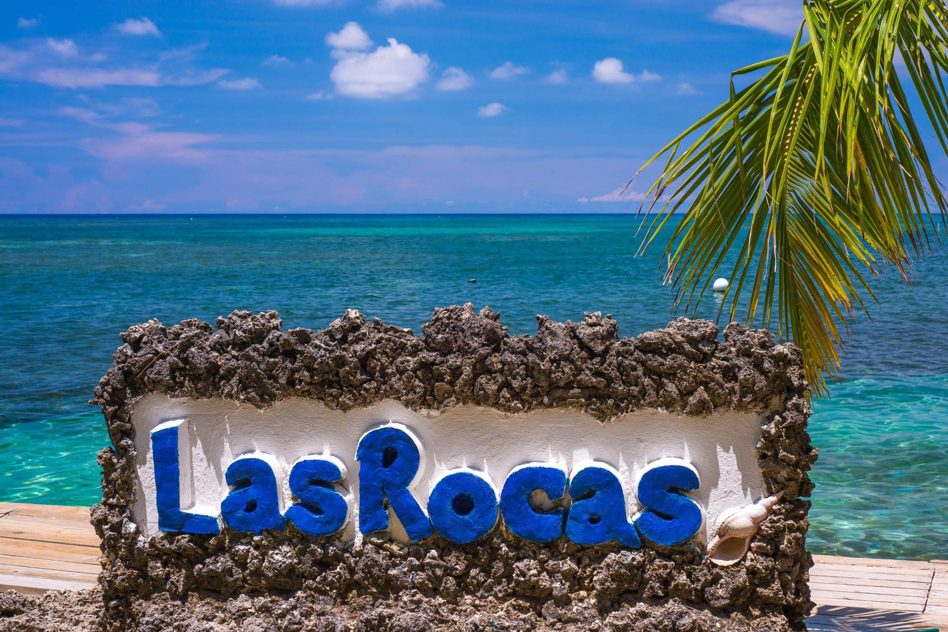 Vista Lobby Las Rocas Resort And Dive Center