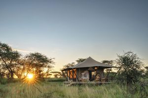 Alojamiento - Manya Luxury Camp