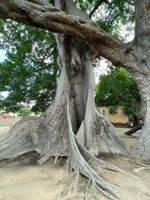 Alojamiento - Résidence LE MARLODJ