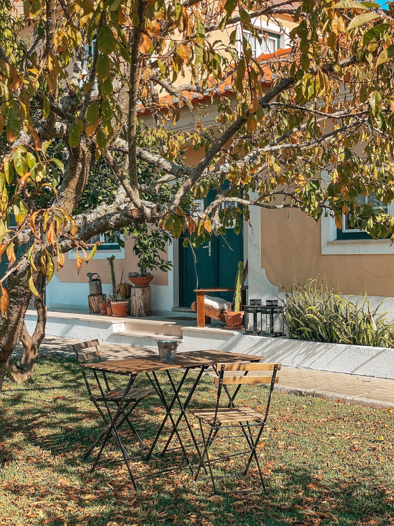 Vista Exterior Quinta Amarela