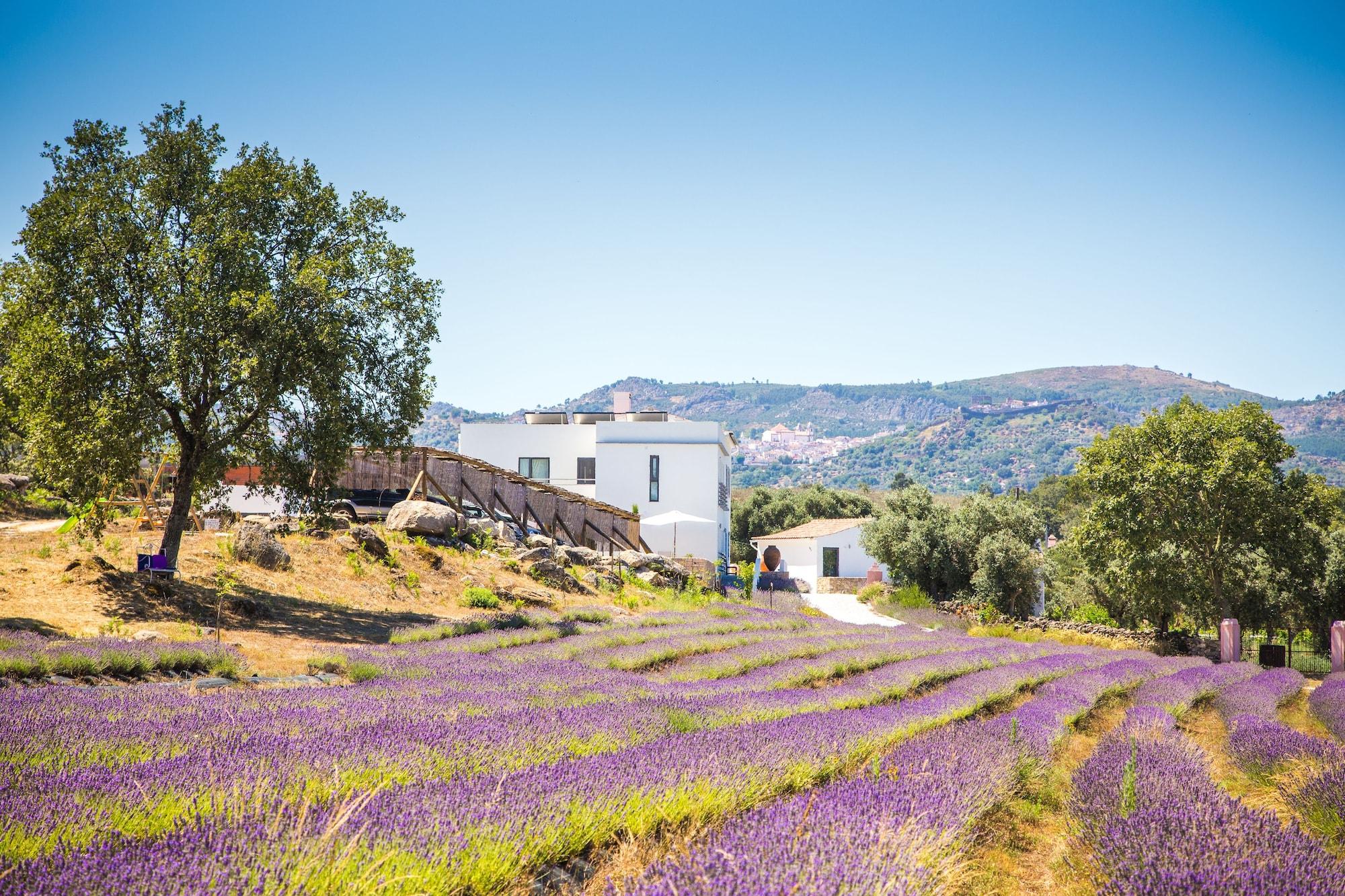 Varios Quinta das Lavandas