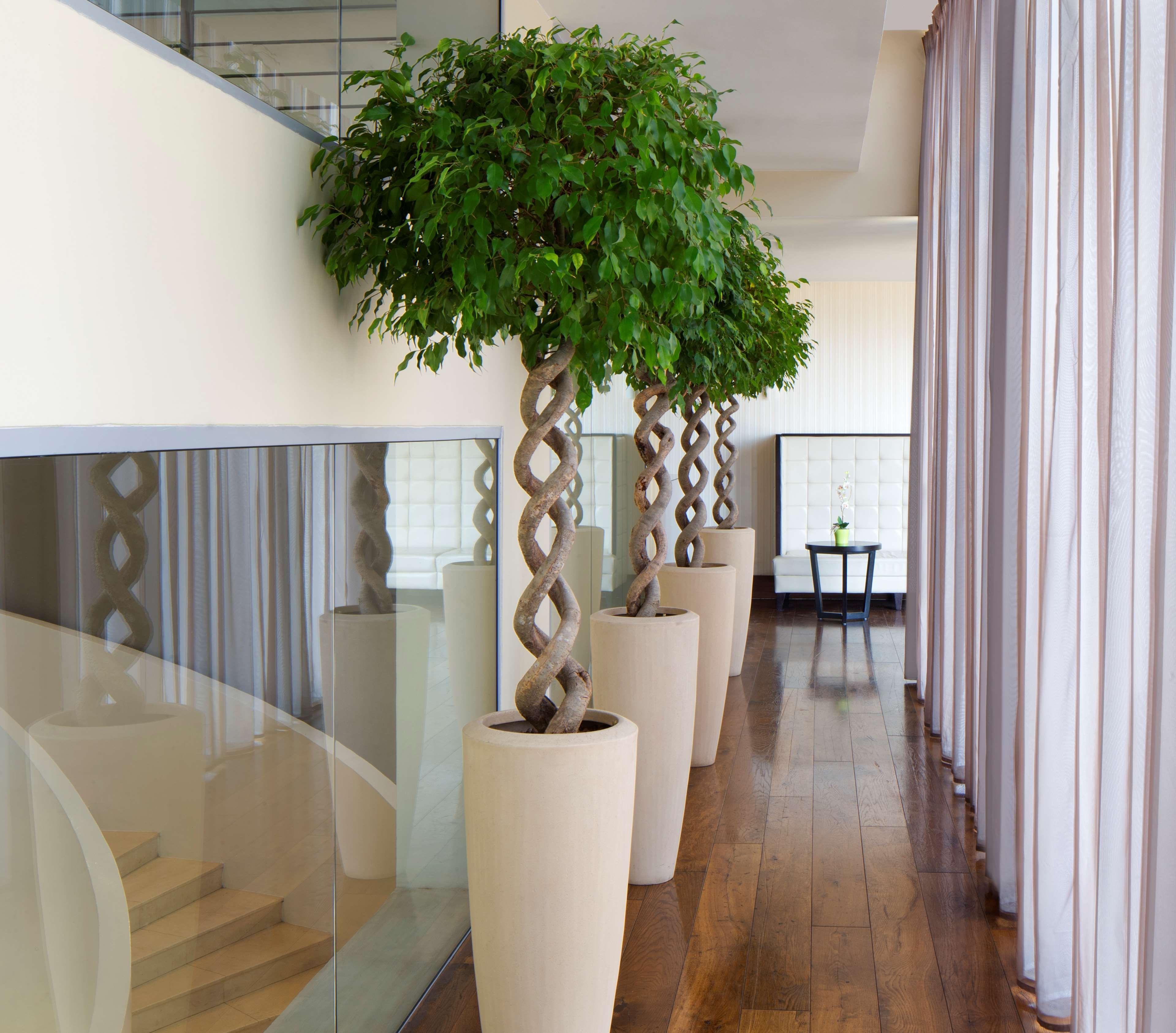 Vista Lobby Radisson Blu Hotel, Addis Ababa