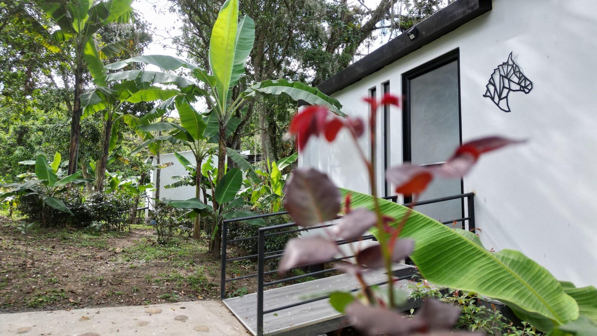 Vista Exterior Guadalajara Glamping