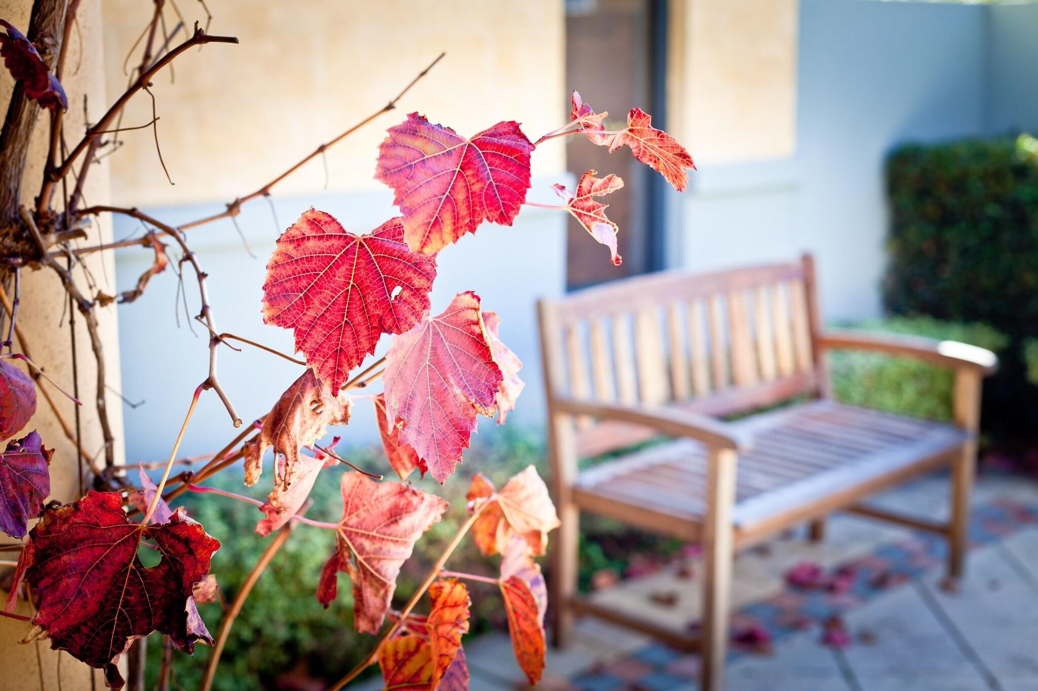 Varios The Beach House at Bayside