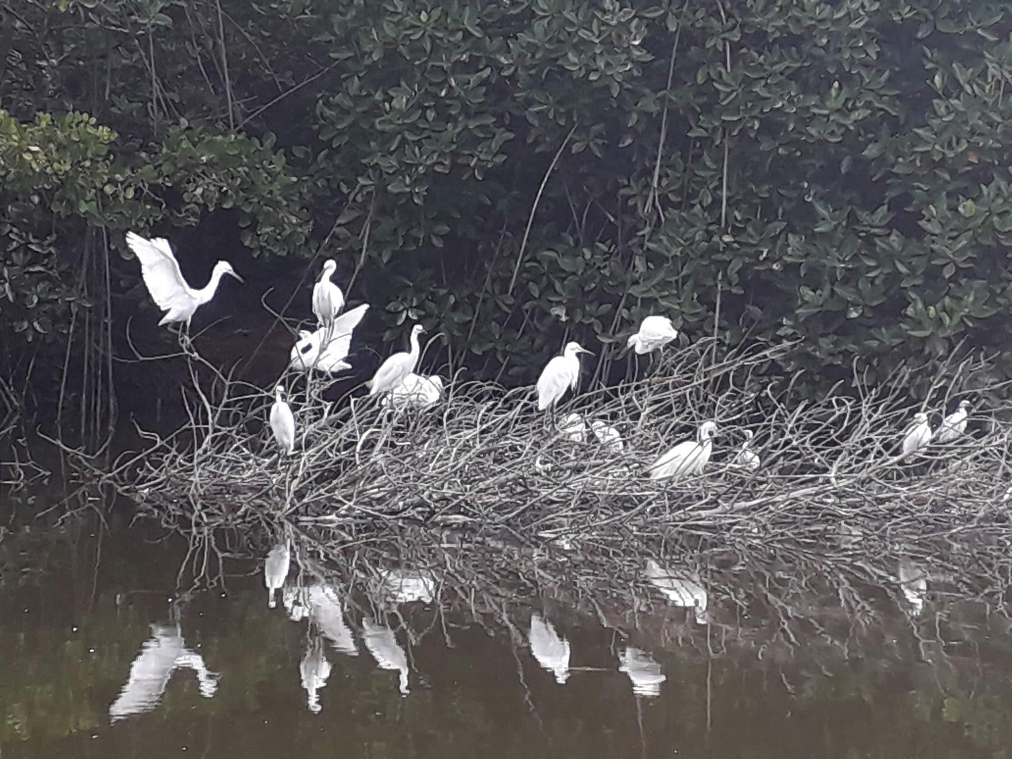 Instalaciones Recreativas Araliya White House