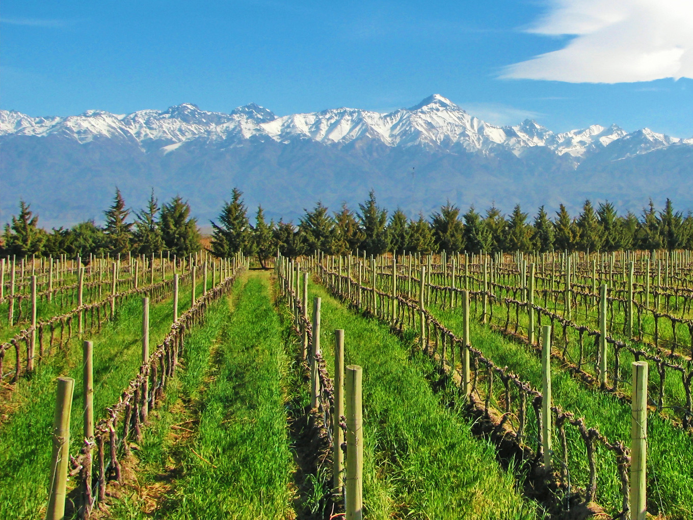 Mendoza