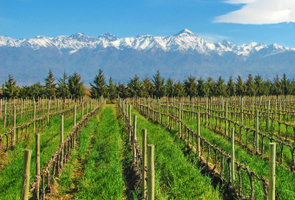 Mendoza