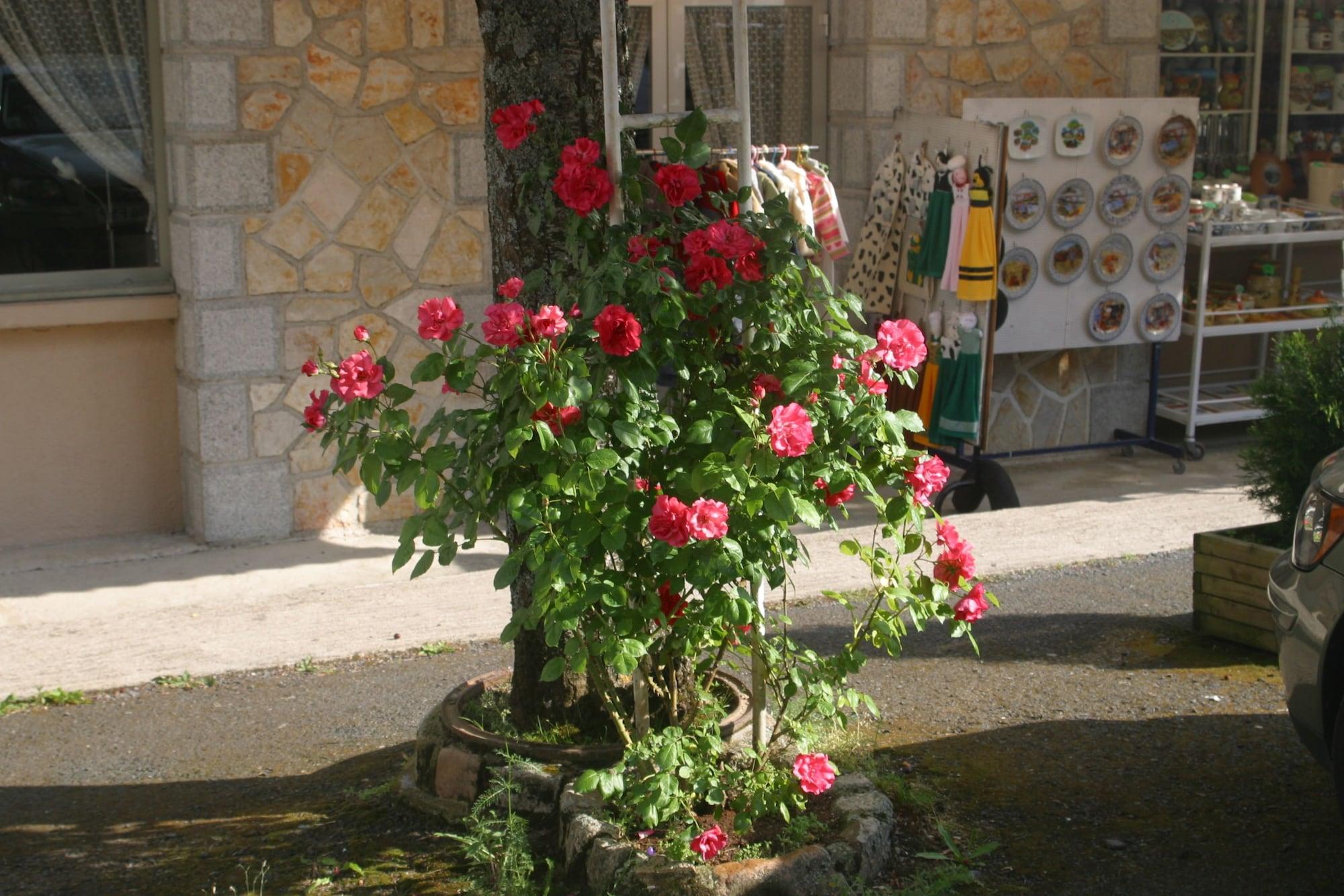 Vista Exterior Garabit Hôtel