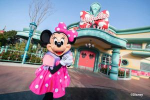 Actividad - Pasaporte de 1 día para Disneyland Tokio