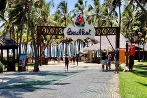 Actividad - Tour al Parque de la Playa