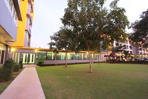 Alojamiento - The Park 304